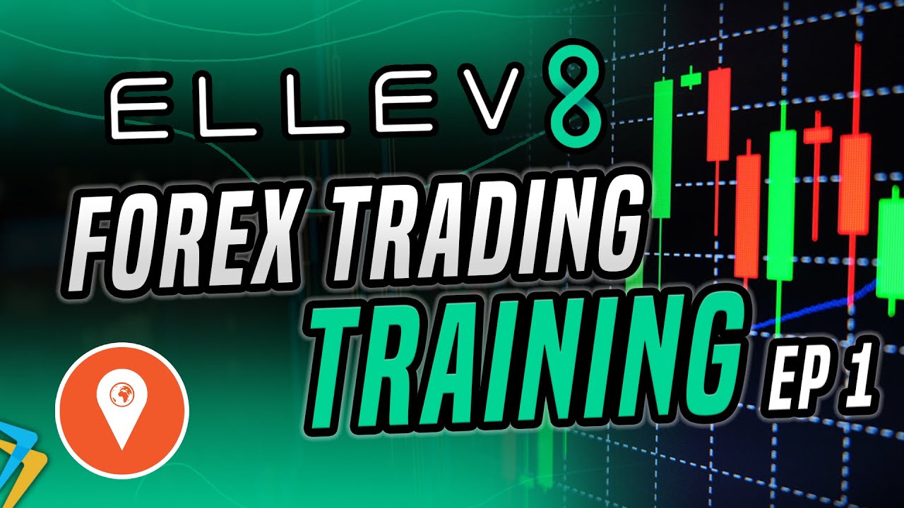 Elev8 Forex Trading Course