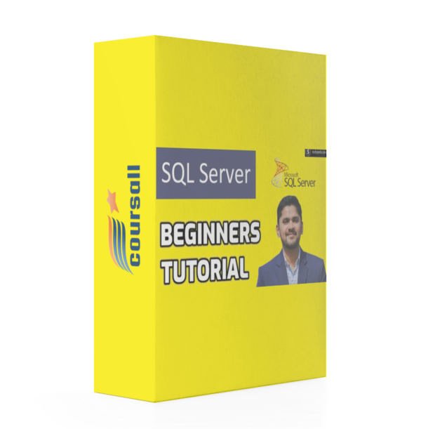 SQL Server Course for Beginners with 100+ examples