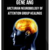 Gene Ang – Arcturian Neurobiology of Attention Group Healings