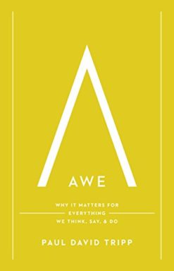 Awe: Why It Matters for Everything We Think, Say, and Do