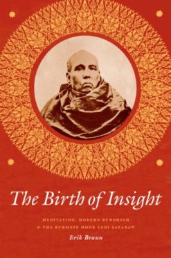 The Birth of Insight: Meditation, Modern Buddhism, and the Burmese Monk Ledi Sayadaw