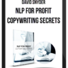 David Snyder – NLP For Profit: Copywriting Secrets