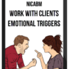 NICABM - Work with Clients Emotional Triggers