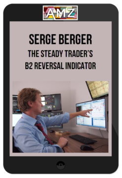 The Steady Trader's B2 Reversal Indicator