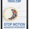 Trisha Zemp – Stop Motion Advanced Workshop