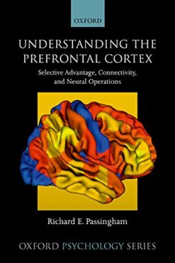 Understanding the Prefrontal Cortex: Selective advantage connectivity and neural operations