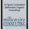 6 Figure Consultant (Millionaire Organic Consulting)