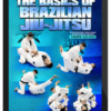 Andre Galvao – The Basics of Brazilian Jiu Jitsu