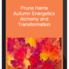 Prune Harris – Autumn Energetics: Alchemy and Transformation