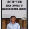 Jeffrey Yuen - Sinew Channels of Classical Chinese Medicine - ACCM