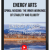 Bruce Frantzis – Spinal Neigong The Inner Workings of Stability and Fluidity