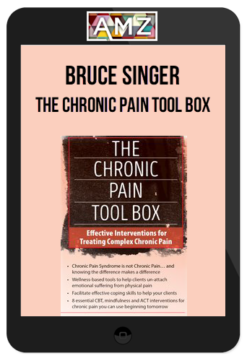Bruce Singer - The Chronic Pain Tool Box