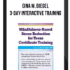 Gina M. Biegel - 3-Day Interactive Training