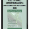Bessel Van der Kolk - Certification Training for Compassion Fatigue Professionals (CCFP)