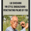 Liu Shichang - Yin style Baguazhang - Penetrating Palms of YSB