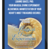 Luanne Oakes, PhD. - Your Magical Divine Experiment: Alchemical Manifestation of Your Heart's Most Treasured Desires