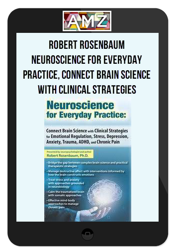 Robert Rosenbaum - Neuroscience for Everyday Practice, Connect Brain Science with Clinical Strategies