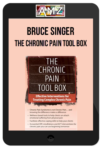 Bruce Singer – The Chronic Pain Tool Box, Effective Interventions for Treating Complex Chronic Pain