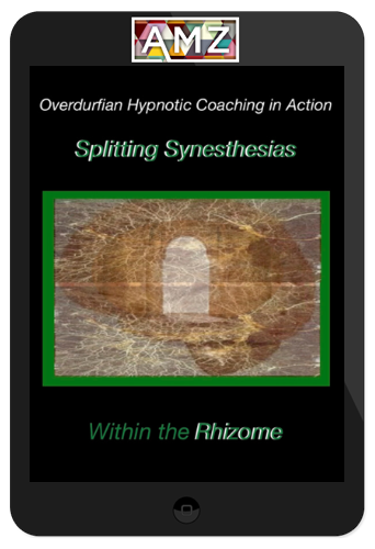 John Overdurf – Splitting Synesthesias within the Rhizome
