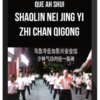 Que Ah Shui – Shaolin Nei Jing Yi Zhi Chan Qigong