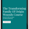 Melanie Tonia Evans – The Transforming Family Of Origin Wounds Course