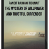 Pandit Rajmani Tigunait – The Mystery of Willpower and Trustful Surrender