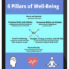 Peter Reznik – 6 Pillars of Well-Being