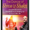 Raja Choudhury – The Dance of Shiva and Shakti