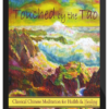 Yinong Chong – Touched by the Tao: Classical Chinese Meditation for Health and Healing