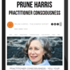 Prune Harris – Practitioner Consciousness – You, Your Client and the Healing Field