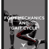 Annette Verpillot – Foot Mechanics and Gait Cycle