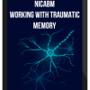 NICABM – Expert Strategies for Working with Traumatic Memory