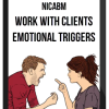 NICABM – Work with Client’s Emotional Triggers