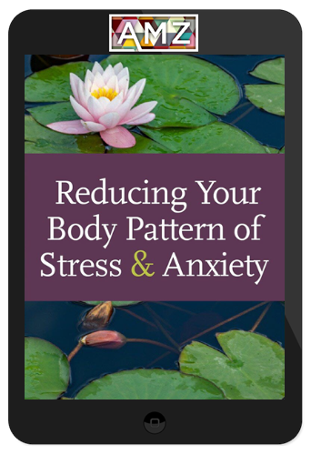 David Zemach-Bersin – Reducing Your Body Pattern of Stress & Anxiety