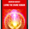 Andrew Harvey – Living the Divine Human