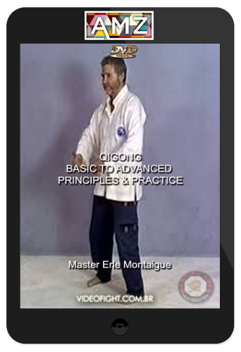 Erle Montaigue – MTG10 – Basic to Advanced Principles & Practice
