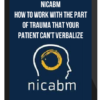 NICABM – How to Work with the Part of Trauma That Your Patient Can’t Verbalize