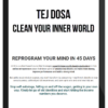 Tej Dosa – Clean Your Inner World