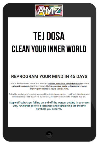 Tej Dosa – Clean Your Inner World