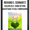 Richard C. Schwartz - Healing Self: Going Beyond Acceptance to Self-Compassion