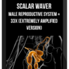 Scalar Waver – Male Reproductive System +33X (Extremely Amplified Version)