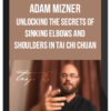 Adam Mizner – Unlocking The Secrets Of Sinking Elbows And Shoulders In Tai Chi Chuan