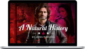 James Marshall – A Natural History – The 6 Phases of the Seducer’s Cycle