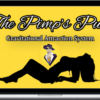 Pimp Theory – The Pimp's Pull: Gravitational Attraction System