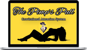 Pimp Theory – The Pimp's Pull: Gravitational Attraction System