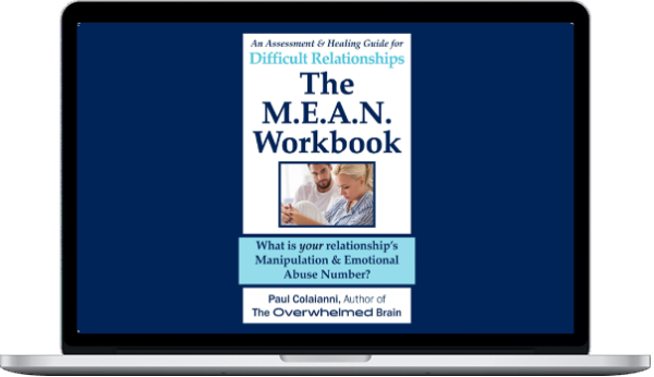 The Overwhelmed Brain – The M.E.A.N. Workbook An Assessment and Healing Guide for Difficult and Emotionally Abusive Relationships