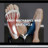 Posturepro – Foot Mechanics and Gait Cycle