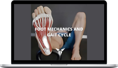 Posturepro – Foot Mechanics and Gait Cycle