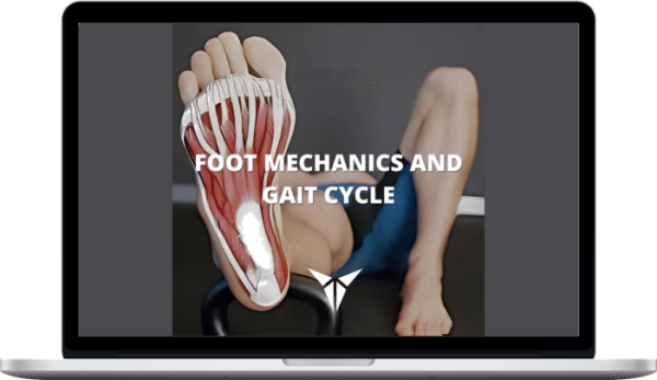 Posturepro – Foot Mechanics and Gait Cycle