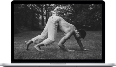 Stefan's School of Movement – Metamorphosis (Online Course)